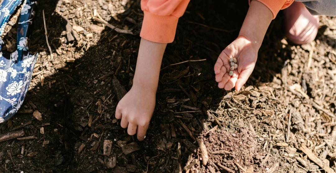 La Recette pour un Compost Réussi : L'Or Noir de Votre Jardin